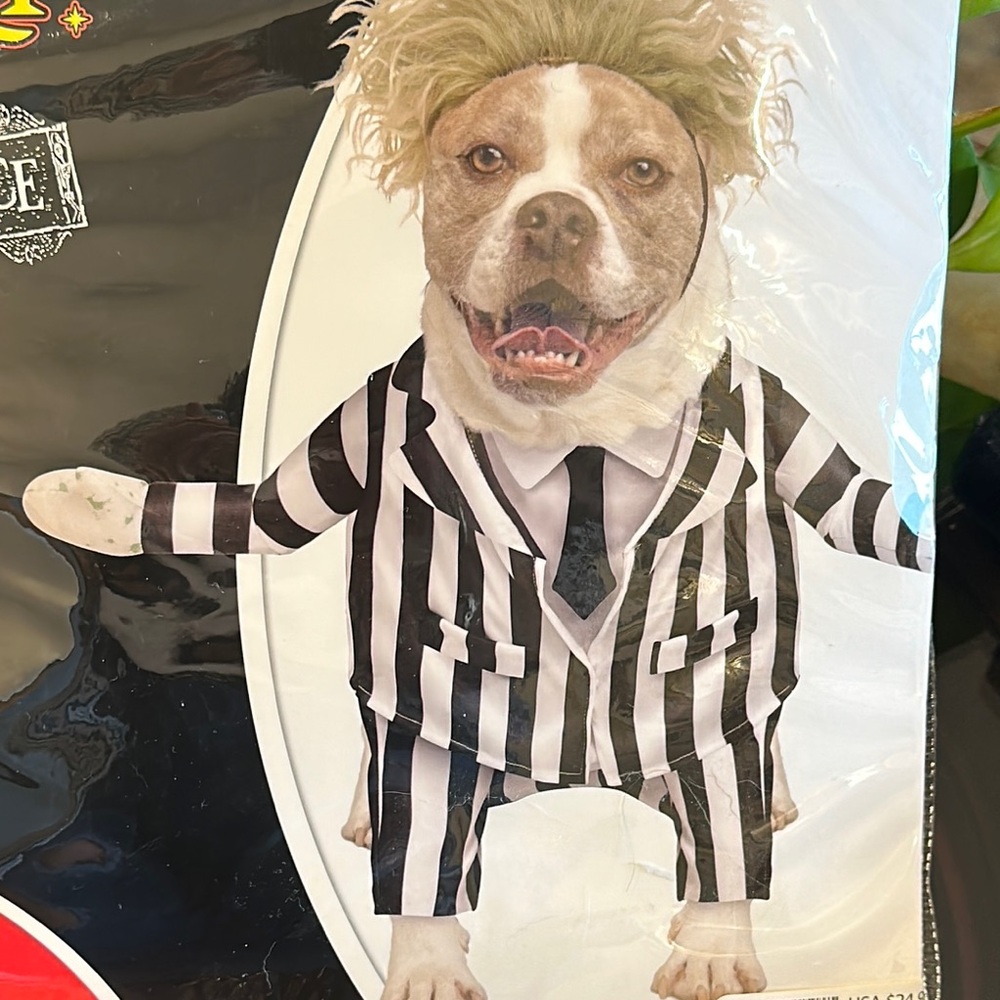 Beetle Juice Spirit Black and White Halloween Dog Costume pet Medium